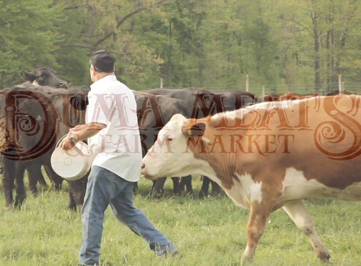 DUMA MEATS VIDEO