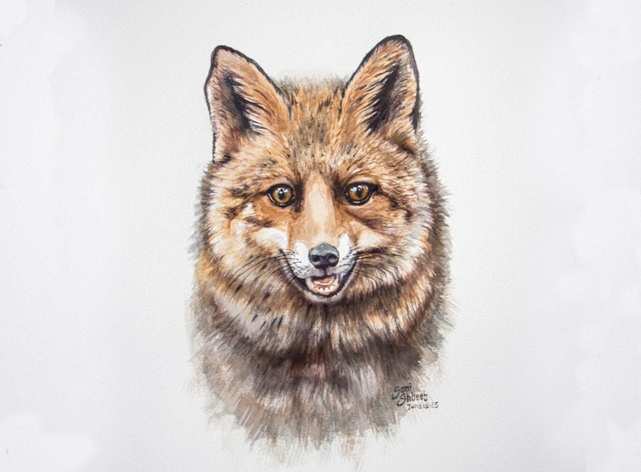 FOX